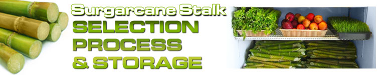 Sugarcane Stalk Selection Process & Storage